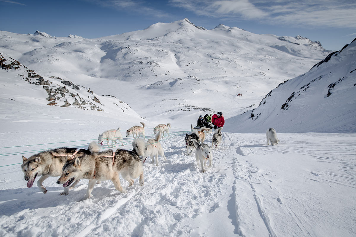 Cani che tirano in salita durante un'escursione nei dintorni di Tasiilaq nella Groenlandia orientale