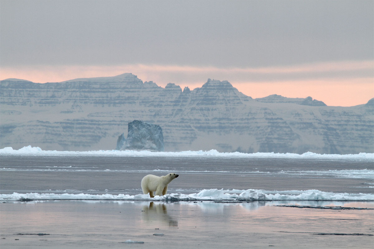 Iceberg Bay - Parco nazionale della Groenlandia nord-orientale