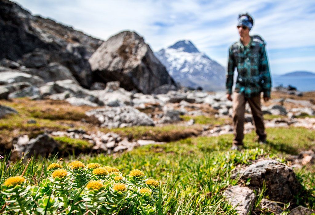 DUE SETTIMANE IN GROENLANDIA AL MEGLIO: AVVENTURA E TREKKING 2020