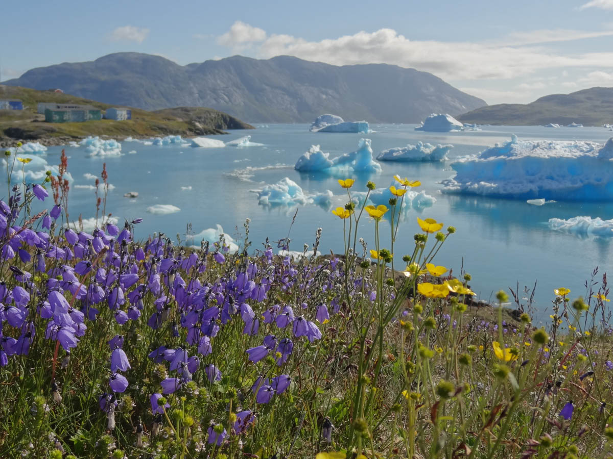 2021 - SPITZBERGEN, NORD EST DELLA GROENLANDIA FINO IN ISLANDA